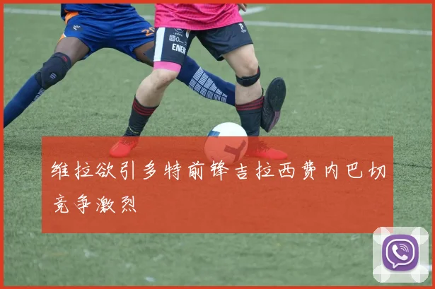 维拉欲引多特前锋吉拉西费内巴切竞争激烈